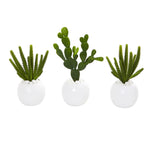 Nearly Natural 10`` Cactus Succulent Artificial Plant in White Vase (Set of 3)