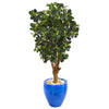 Nearly Natural 9506 50" Artificial Green Panda Ficus Tree in Blue Planter