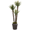 Nearly Natural 9967 61" Artificial Green Yucca Tree in Metal Planter