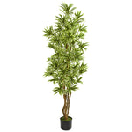 Nearly Natural 8102 6' Artificial Green Dracaena Reflexa Plant