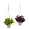 Nearly Natural P1160-S2 23" Artificial Green & Purple Basil Plant in Hanging Bucket, Set of 2