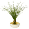 Nearly Natural 8668 19" Artificial Green Curly Grass Plant in Designer Planter