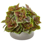 Nearly Natural 8724 16" Artificial Green & Maroon Real Touch Coleus Plant in Decorative Planter