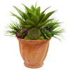 Nearly Natural 8257 21" Artificial Green Succulent Garden Plant in Terra Cotta Planter