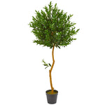 Nearly Natural 9106 58" Artificial Green Olive Topiary Tree, UV Resistant (Indoor/Outdoor)