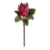 Nearly Natural 2356-S4 23" Artificial Green & Red King Protea Flower, (Set of 4)