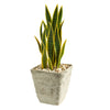 Nearly Natural P1391 30” Sansevieria Artificial Plant in Country White Planters