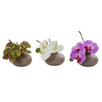 Nearly Natural 4231-S3 7" Artificial Phalaenopsis Orchid Arrangement, Multicolor, Set of 3