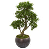 Nearly Natural 9494 37" Artificial Green Podocarpus Bonsai Tree in Metal Bowl