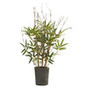 Nearly Natural 5360 27" Artificial Green Bamboo Tree with Cement Pot