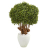 Nearly Natural 9733 41" Artificial Green Boxwood Topiary Tree in White Planter, (Indoor/Outdoor)