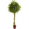 Nearly Natural 5528 6' Artificial Green Ficus Topiary Tree, UV Resistant (Indoor/Outdoor)