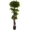 Nearly Natural 5400 5' Artificial Green Ruscus Tree