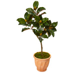 Nearly Natural 9636 45" Artificial Green Magnolia Leaf Tree in Terra-cotta Planter