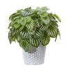 Nearly Natural 8897 14" Artificial Green Real Touch Watermelon Peperomia Plant in White Embossed Planter