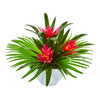 Nearly Natural 1740 Bromeliad Artificial Silk Arrangement in Oval White Vase