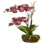 Nearly Natural 4291 23" Artificial Chocolate Phalaenopsis Orchid Arrangement in Twig Basket