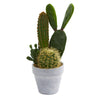 Nearly Natural 4336 17" Artificial Green Cactus Plant in Pot