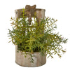 Nearly Natural 8831 12" Artificial Green Rosemary Plant in Faucet Planter