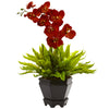 Nearly Natural Birds Nest & Orchid Combo with Planter