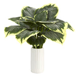 Nearly Natural 19``Variegated Hosta Artificial Plant in White Planter