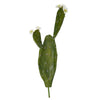 Nearly Natural 6264-S4 24" Artificial Green Flowering Cactus Plant, Set of 4