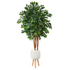 Nearly Natural T1393 4.5` Sakaki Artificial Tree in White Planter with Stand