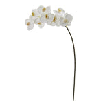 Nearly Natural 35`` Phalaenopsis Orchid Artificial Flower (Set of 6)