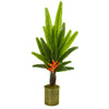 Nearly Natural 9982 56" Artificial Green Traveler's Palm Tree in Green Planter