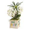 Nearly Natural A1311 16" Artificial Green & White Orchid Phalaenopsis & Cyperus Arrangement in New Baby Vase