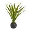 Nearly Natural 15`` Grass Artificial Plant in Decorative Planter