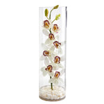 Nearly Natural Cymbidium Orchid Artificial Arrangement in Tall Cylinder Vase