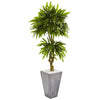 Nearly Natural 5731 5.5' Artificial Green Mango Tree in Concrete Planter, UV Resistant (Indoor/Outdoor)