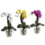Nearly Natural 1311-S3 16" Artificial Mini Phal Orchid Arrangement, Set of 3