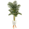 Nearly Natural T2223 70” Golden Cane Artificial Palm Tree in White Planter with Stand