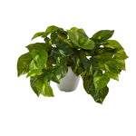 Nearly Natural P1648 9” Pothos Artificial Plant in White Planter (Real Touch)
