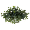 Nearly Natural Ivy w/White Wash Planter Silk Plant