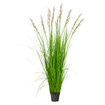 Nearly Natural P1684 5.5’ Plum Grass Artificial Plants