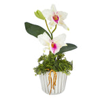 Nearly Natural 13`` Mini Orchid Cattleya Artificial Arrangement in White Vase with Silver Trimming
