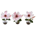 Nearly Natural 1465-S3 8" Artificial Pink & White Magnolia in Votive Glass Vase, Set of 3