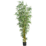 Nearly Natural 5195 8' Artificial Green Fancy Style Bamboo Silk Tree