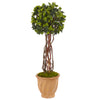 Nearly Natural 5848 3' Artificial Green English Ivy Tree in Terracotta Planter, UV Resistant (Indoor/Outdoor)