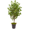 Nearly Natural 9535 68" Artificial Green Oak Tree in Decorative Planter