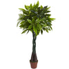 Nearly Natural 6812 4' Artificial Green Real Touch Money Plant in Pot