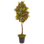 Nearly Natural 9585 70" Artificial Green Croton Tree in Decorative Planter