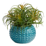Nearly Natural P1685  9” Tillandsia Artificial Plant in Blue Planters