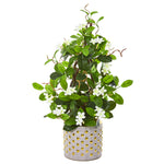 Nearly Natural 9665 25" Artificial Green Stephanotis Climbing Plant in Designer Planter