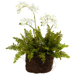 Nearly Natural 4834 15" Artificial Green & White Mini Phalaenopsis & Fern with Bird's Nest Planter