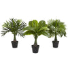 Nearly Natural 6867-S3 Artificial Green Areca, Fountain & Banana Palm, Set of 3