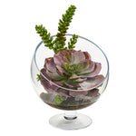 Nearly Natural 8455 11" Artificial Green & Purple Succulent Plant in Pedestal Vase